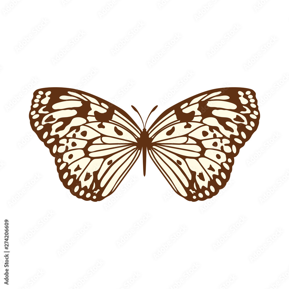 Fototapeta premium Sketch of Butterfly