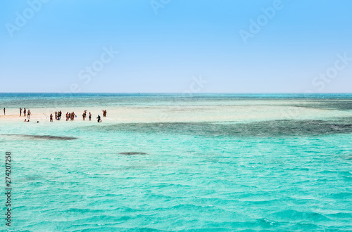 Fototapeta Naklejka Na Ścianę i Meble -  Africa Egypt White Island Ras Mohamed Red Sea, Sinai Peninsula.