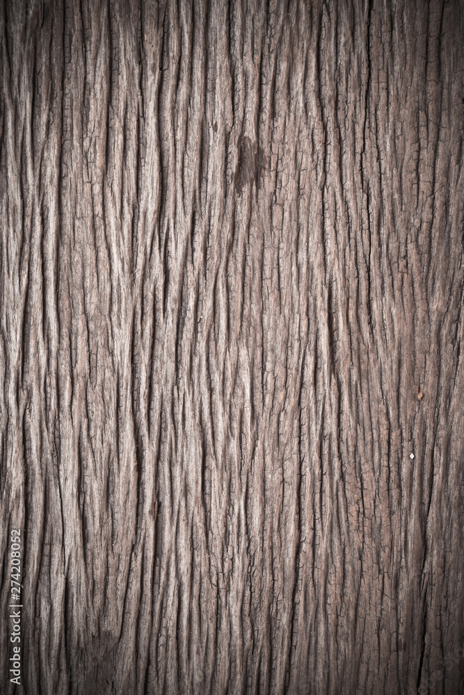 Texture of old bark wood Texture of old bark wood