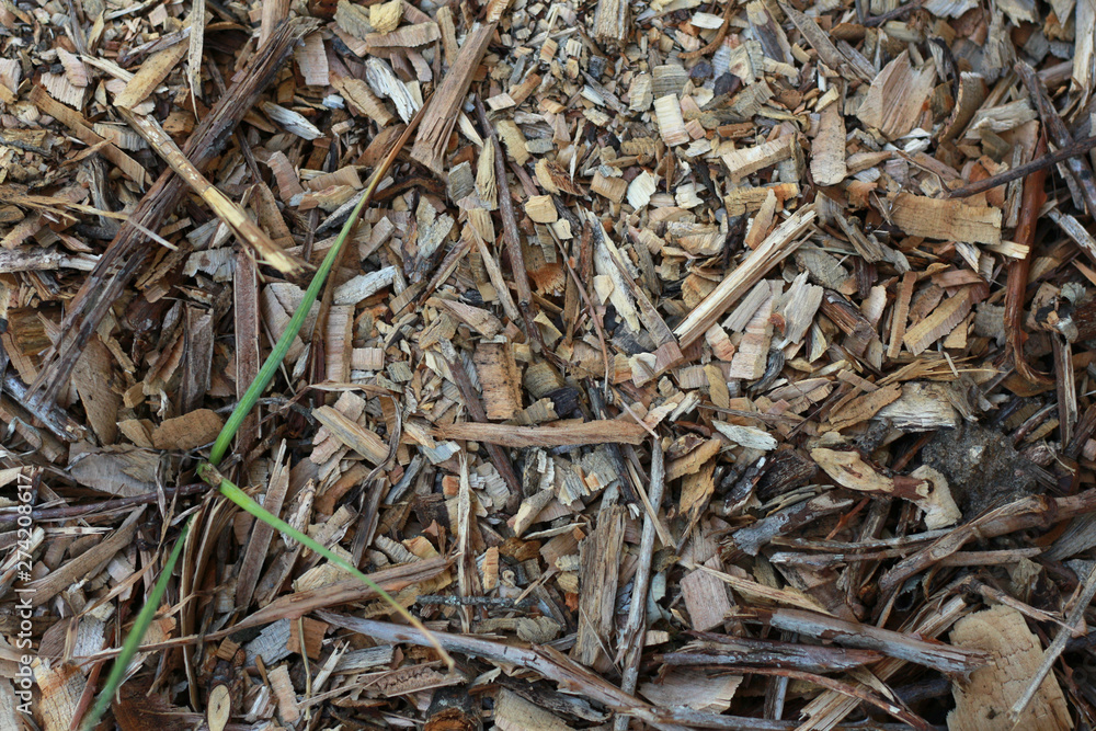 Bark soil texture with grass