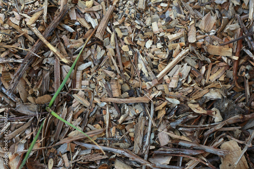 Bark soil texture with grass