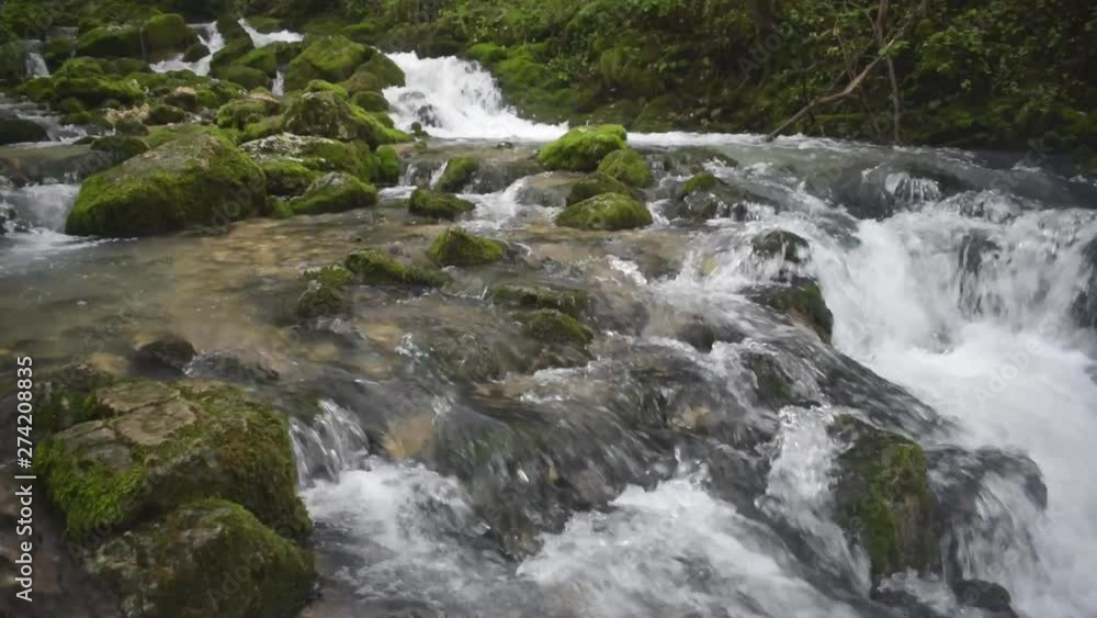 Forest stream running over mossy rocks. Small river waterfall in the summer green woodland Forest stream running over mossy rocks. Small river waterfall in the summer green woodland