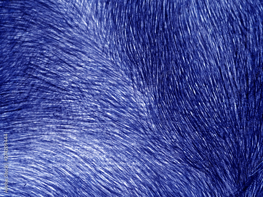 Fototapeta premium blue dark oil paint abstract background.