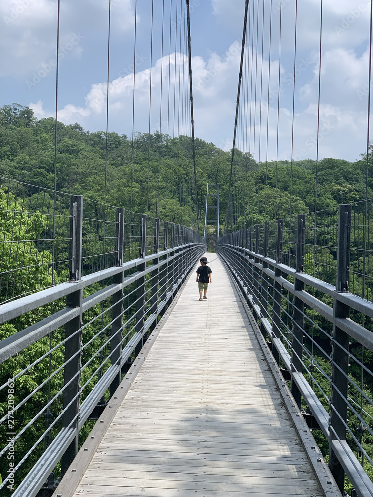 Obraz premium 吊り橋を渡る子ども