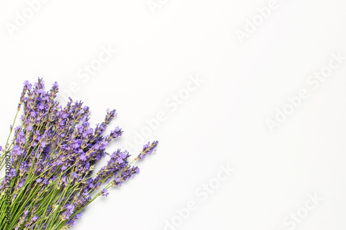 Flowers composition. Fresh flowers of purple lavender on light gray background. Flat lay top view copy space. Lavender  floral background  flower card. Minimal concept.