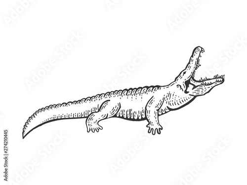Alligator crocodile sketch engraving vector illustration. Scratch board style imitation. Black and white hand drawn image.