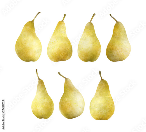 Hand painted pears isolated on a white background.