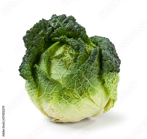 Savoy cabbage, isolated on white, Cavolo Verza,  Brassica oleracea var. sabauda photo