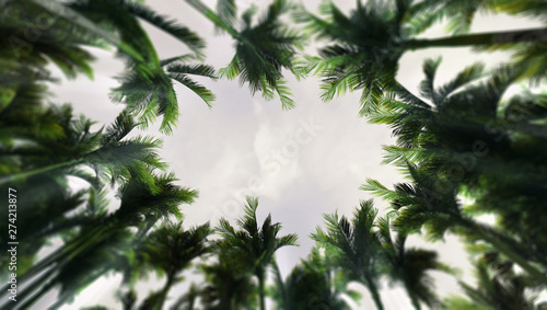 Deep tropical rain forest seen from below with palm tree vegetation  tropical untouched destination as 3D illustration copy space background