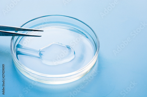 Petri dish with liquids and pincers in laboratory on blue. Fluid testing.
