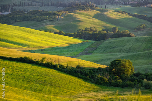 Typical Tuscany landscape with hills, green trees and houses, Italy.