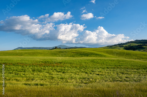 Typical Tuscany landscape with hills, green trees and houses, Italy. © ZoomTeam