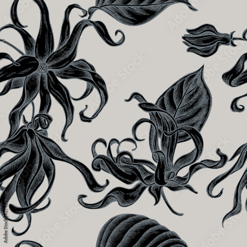 Seamless pattern with hand drawn stylized ylang-ylang