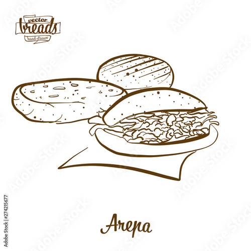 Arepa bread vector drawing photo