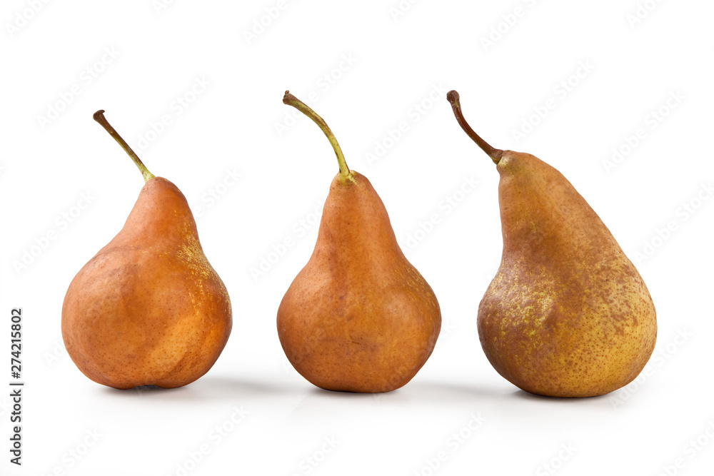 Bosc Pears, Isolated on White Background – Arranged Group of Three Brown Pears, Kaiser Cultivar – Detailed Close-Up Macro on Skin, High Resolution