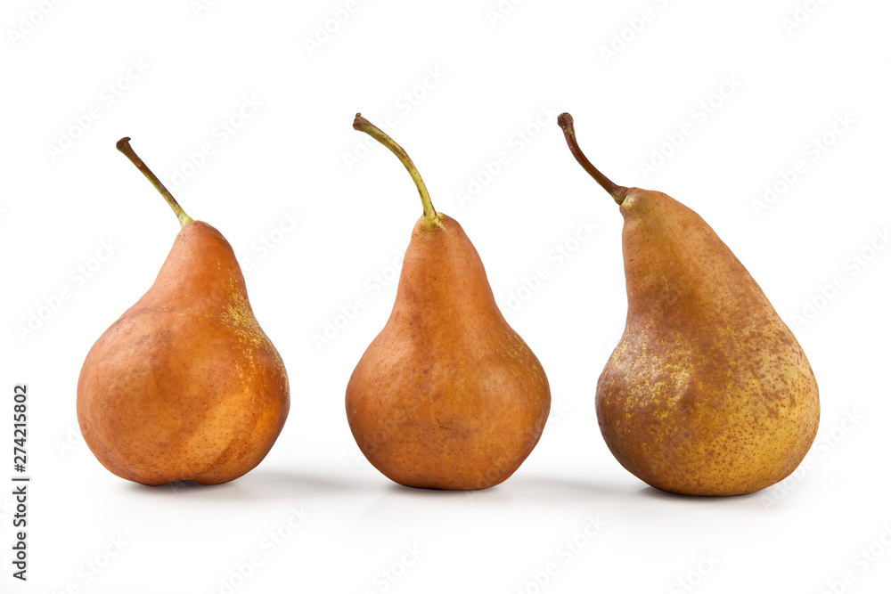 Bosc Pears, Isolated on White Background – Arranged Group of Three Brown Pears, Kaiser Cultivar – Detailed Close-Up Macro on Skin, High Resolution Bosc Pears, Isolated on White Background – Arranged Group of Three Brown Pears, Kaiser Cultivar – Detailed Close-Up Macro on Skin, High Resolution