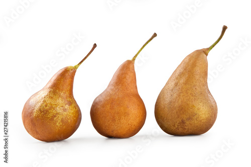 Bosc Pears, Isolated on White Background – Arranged Group of Three Brown Pears, Kaiser Cultivar – Detailed Close-Up Macro on Skin, High Resolution