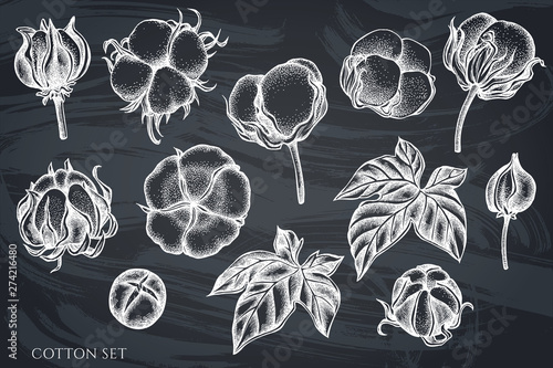 Vector set of hand drawn chalk cotton