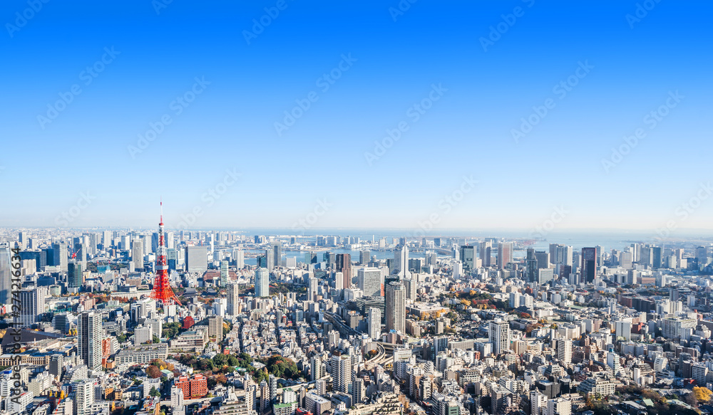 modern city skyline aerial view in Tokyo, Japan
