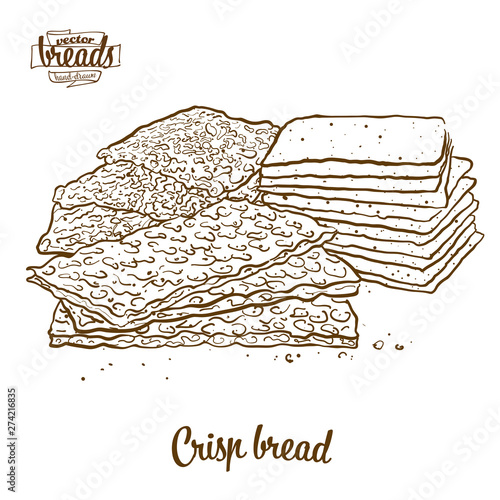 Crisp bread bread vector drawing