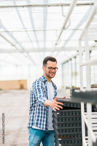 Wallpaper Mural Organic farming concept. Young farmer stacking seed trays at greenhouse. Torontodigital.ca