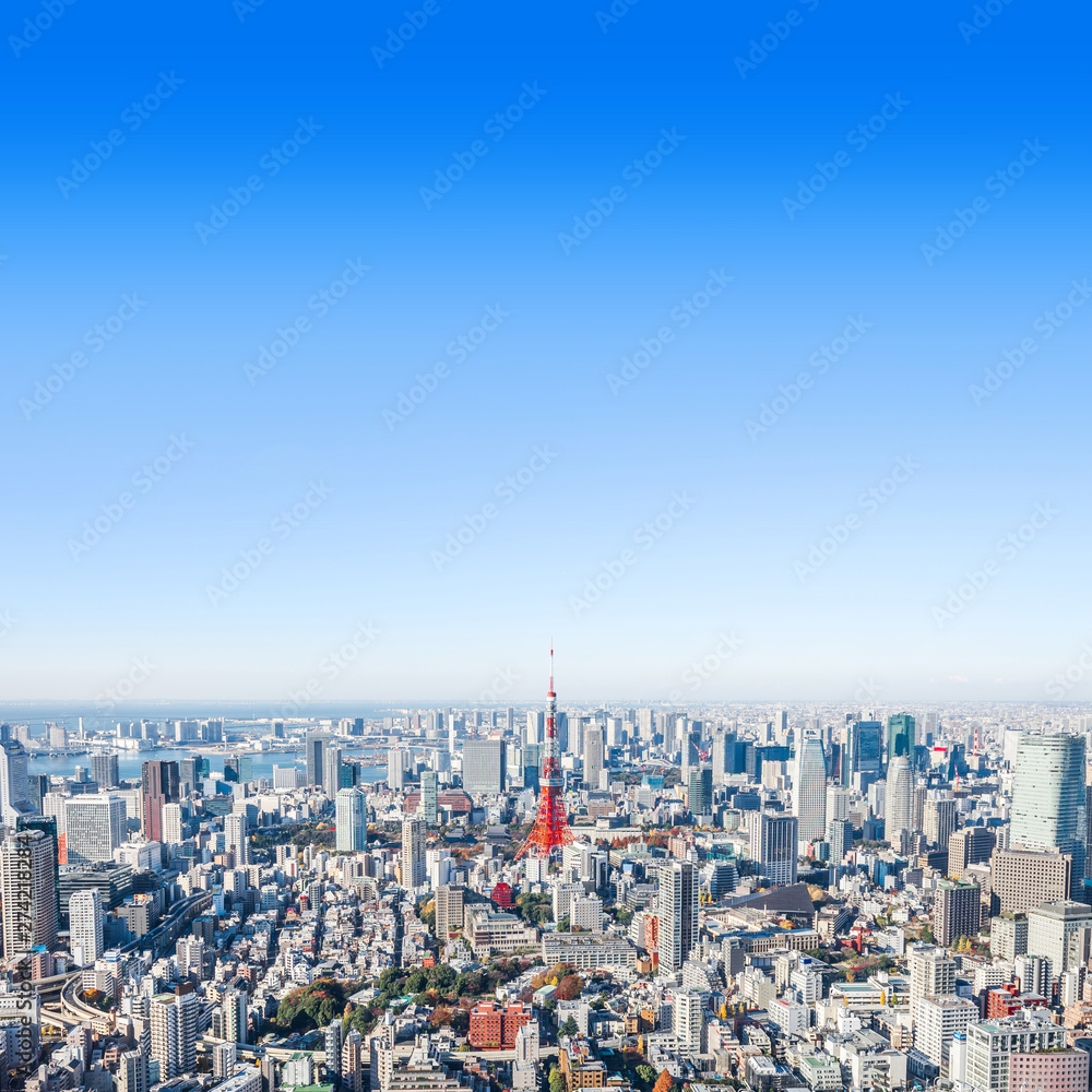modern city skyline aerial view in Tokyo, Japan modern city skyline aerial view in Tokyo, Japan