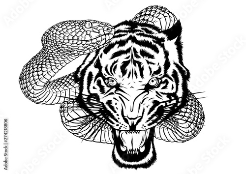 snake and tiger fighting, tattoo vector illustration