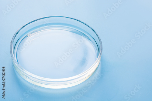 Petri dish in laboratory on blue. Chemical experiment. Close up.