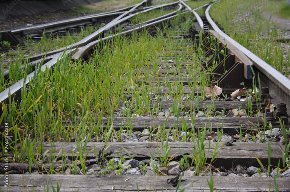 Ein Eisenbahn Abstellgleis und Weichen mit Gras bewachsen Ein Eisenbahn Abstellgleis und Weichen mit Gras bewachsen