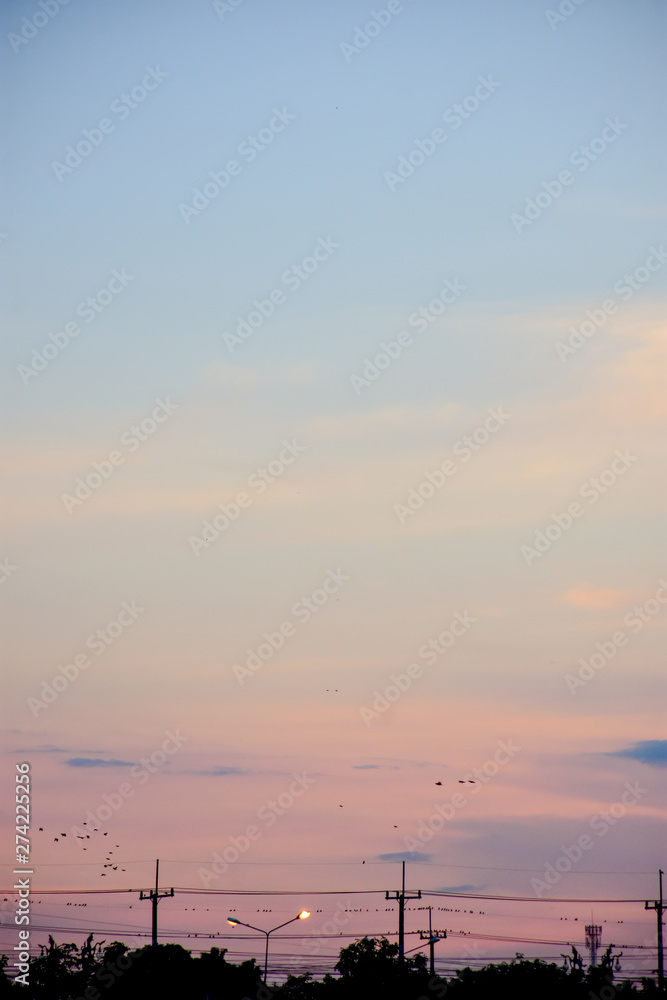 Fototapeta premium Before sunset