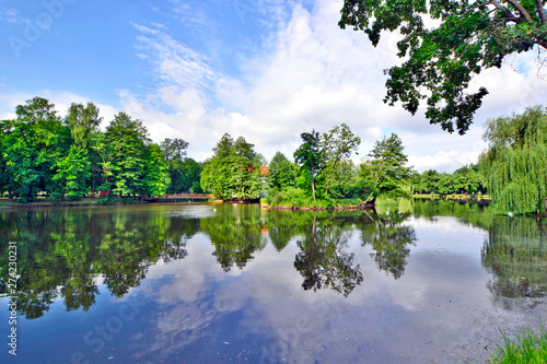 Calm summer pond in the Zwierzyniec, Poland. On the water, the reflection of trees and clouds and light ripples.