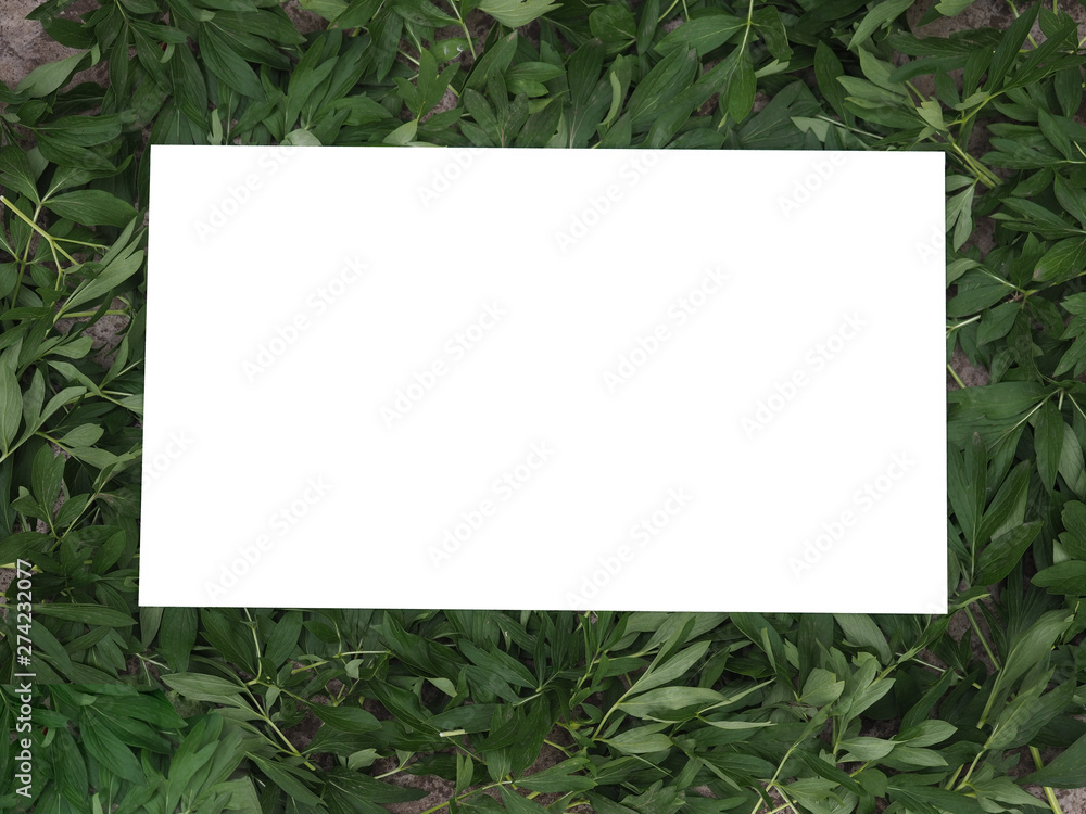 background from leaves of a flower background from leaves of a flower
