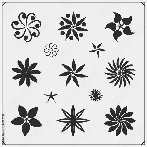 Collection of flower design elements. Floral icons set.