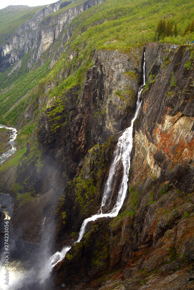 Obraz premium bjoreio river fills the voringfossen in the green norway, voringfossen waterfalls in hardanger eidfjord view from the top a big tourist attraction in norway