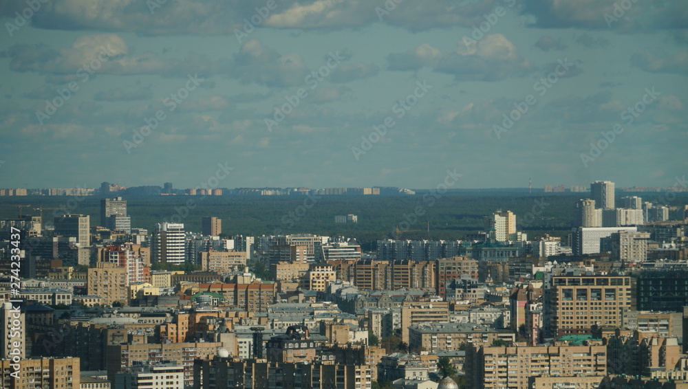 Obraz premium Moscow cityscape, a mixture of buildings against the gray sky at dawn