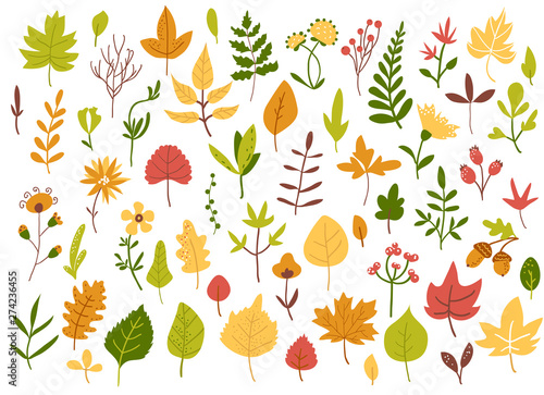 Autumn leaves and berries set, hand drawn style, vector illustration