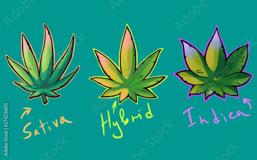 Принти на полотні Cannabis sativa, indica and hybrid leaves in graffiti style