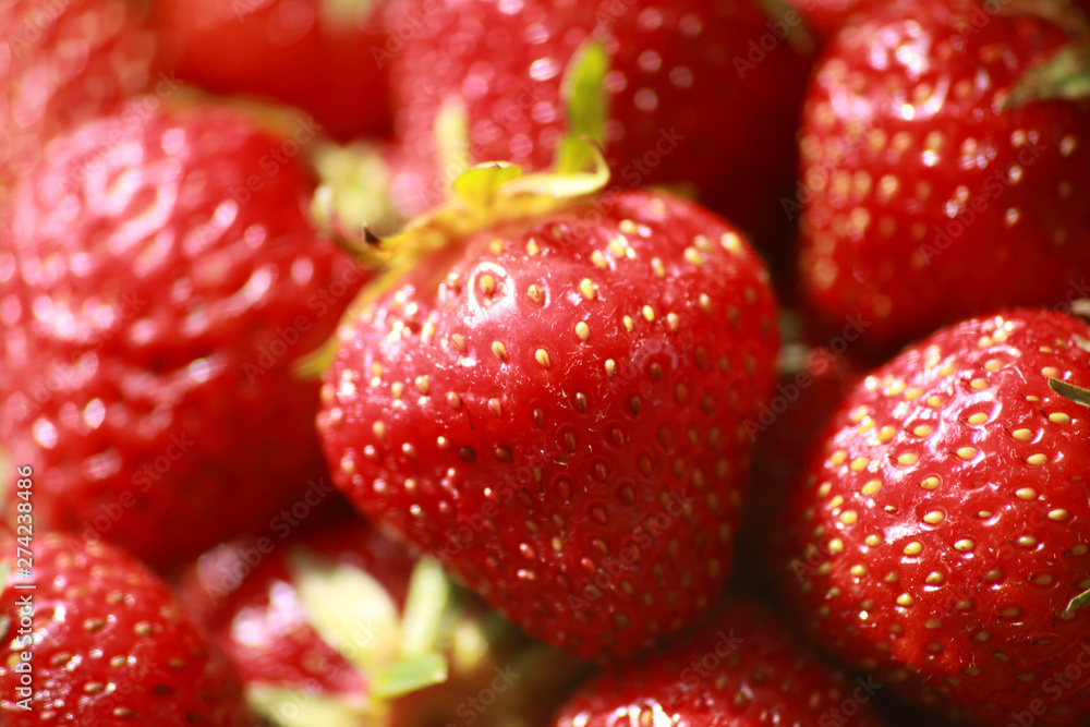 red, ripe, juicy, fragrant strawberry closeup red, ripe, juicy, fragrant strawberry closeup