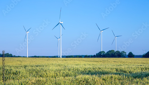 Grain fields and wind turbines are located in the state of Brandenburg (Germany). Concept nature and industry.