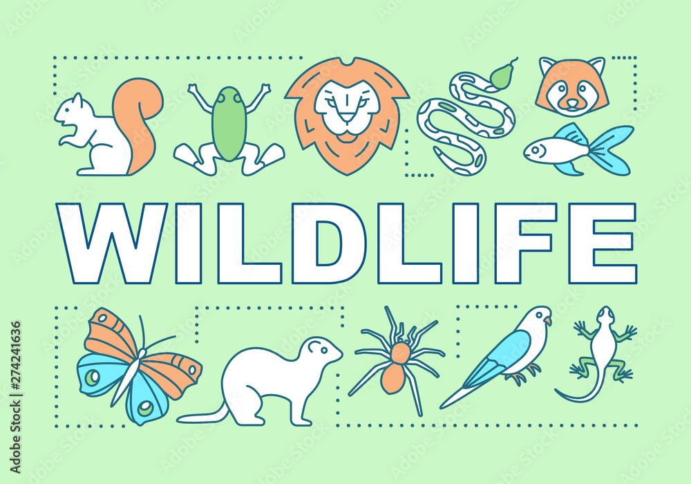 Fototapeta premium Wildlife word concepts banner