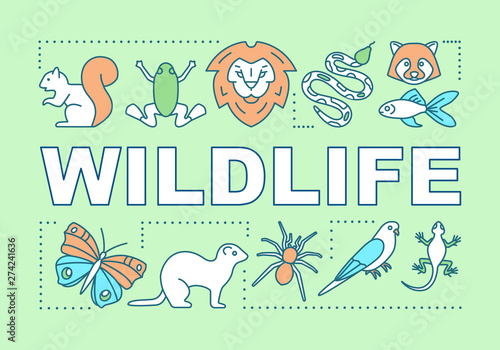 Wildlife word concepts banner