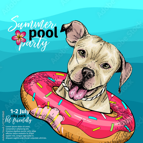 Vector portrait of pit bull terrier dog swimming in water. Donut float. Summer pool paty illustration. Sea, ocean, beach. Hand drawn pet portait. Poster, t-shirt print, holiday, postcard, summertime.