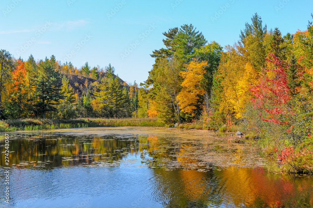 Brightly Colored Fall trees on lakeshore 