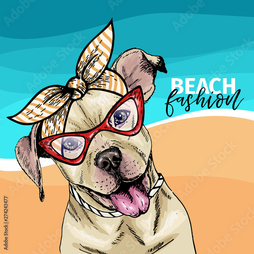 Vector portrait of pit bull terrier dog wearing sunglasses and retro bow. Summer fashion illustration. Vacation, sea, beach, ocean. Hand drawn pet portait. Poster, t-shirt print, holiday, postcard.