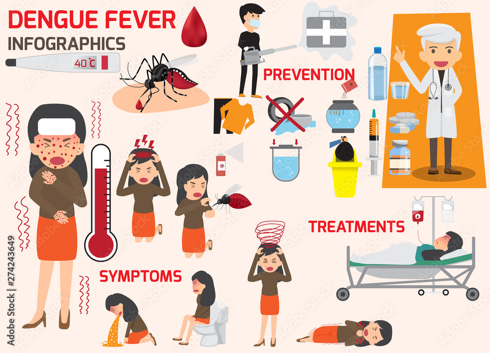 Template design of details dengue fever or flu and symptoms with prevention  infographics. people sick that have dengue fever and flu health and  medicine cartoon vector illustration. Stock Vector | Adobe Stock