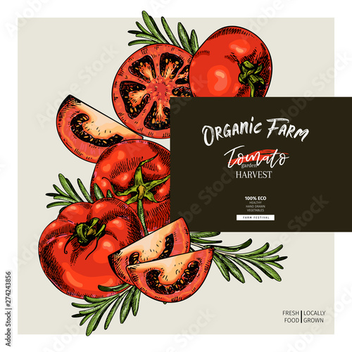 Hand drawn label of tomato and rosemary ketchup sauce. Vector colored vintage art. Set of farm vegetables. Organic sketched vegetarian objects. For restaurant, menu, package, market, flyer, template.