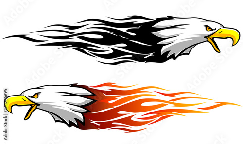 Bald Eagle Abstract Flame Variation
