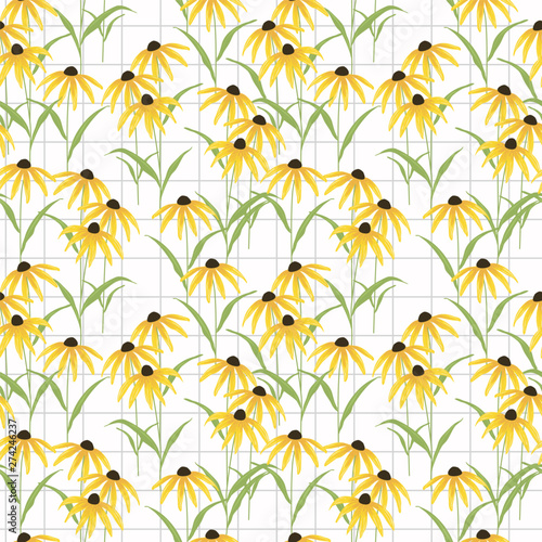 Black eyed susan flower seamless pattern vector.