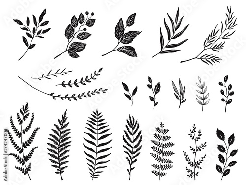 Set of leaves and branches silhouettes, hand drawn vector illustration.