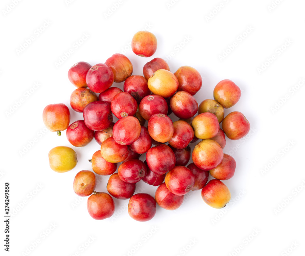 Red coffee beans  ripe and unripe berries isolated on white background. top view